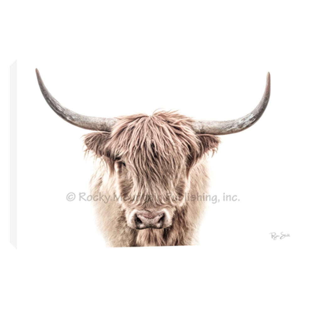 image of 12 x 18 Canvas Giclée Wrap, Fabio