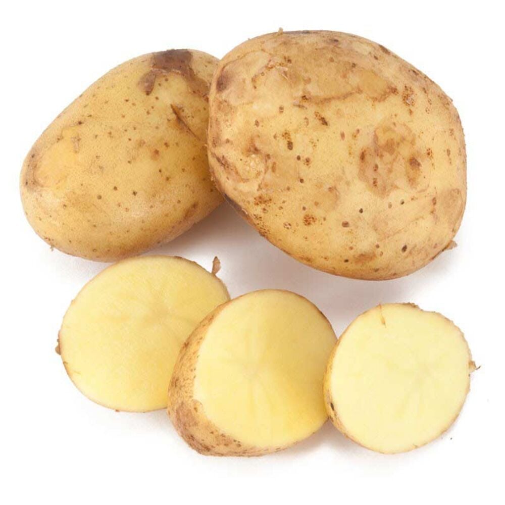 image of Yukon Gold Seed Potato, 5 lbs