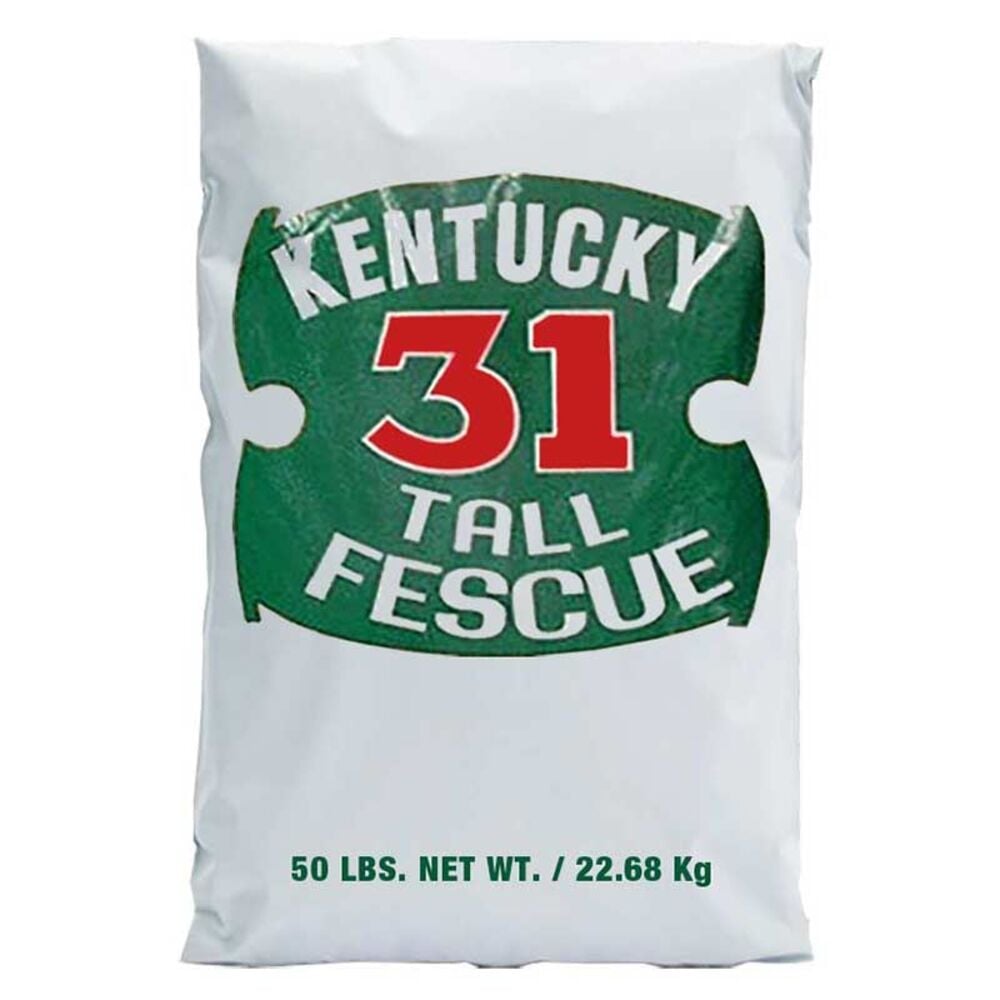 image of Tall Fescue Grass Seed, 50 lbs