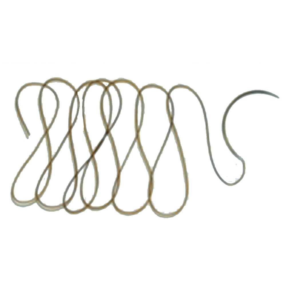 image of Suture Kit with Needles, Chrome, 2/0, 3 count