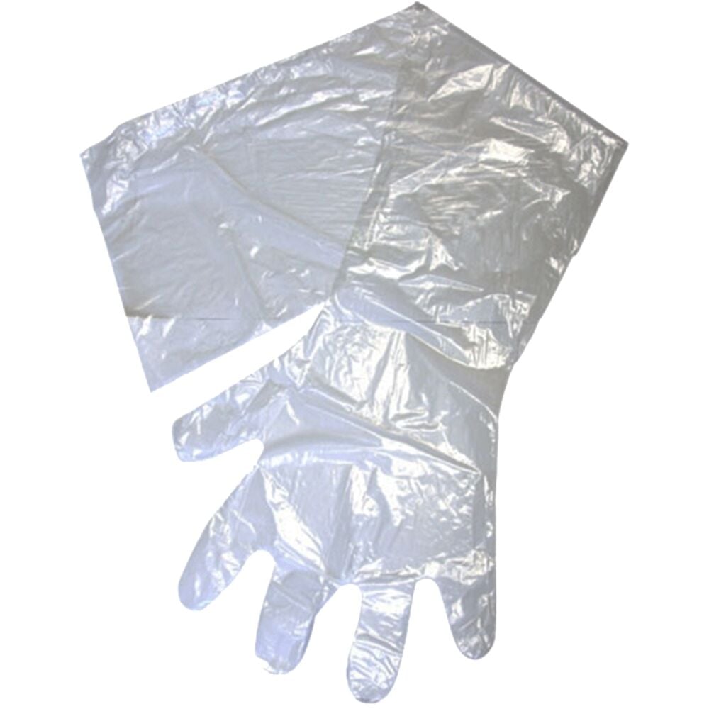 image of Gloves, Shoulder Length, 10 pair