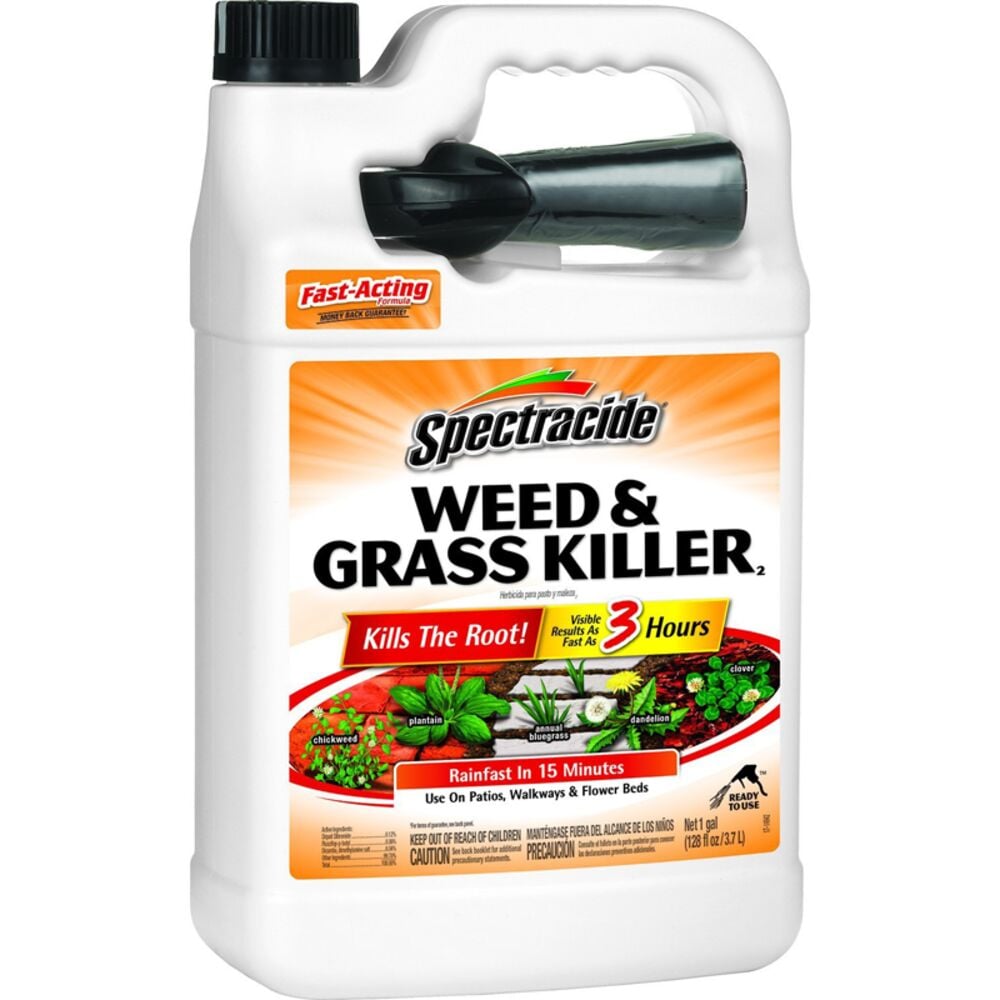image of  Weed & Grass Killer RTU, 1 gallon