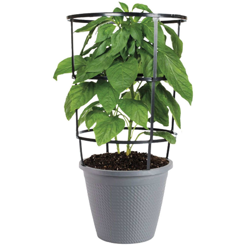 image of 11 in Vegetable Cage