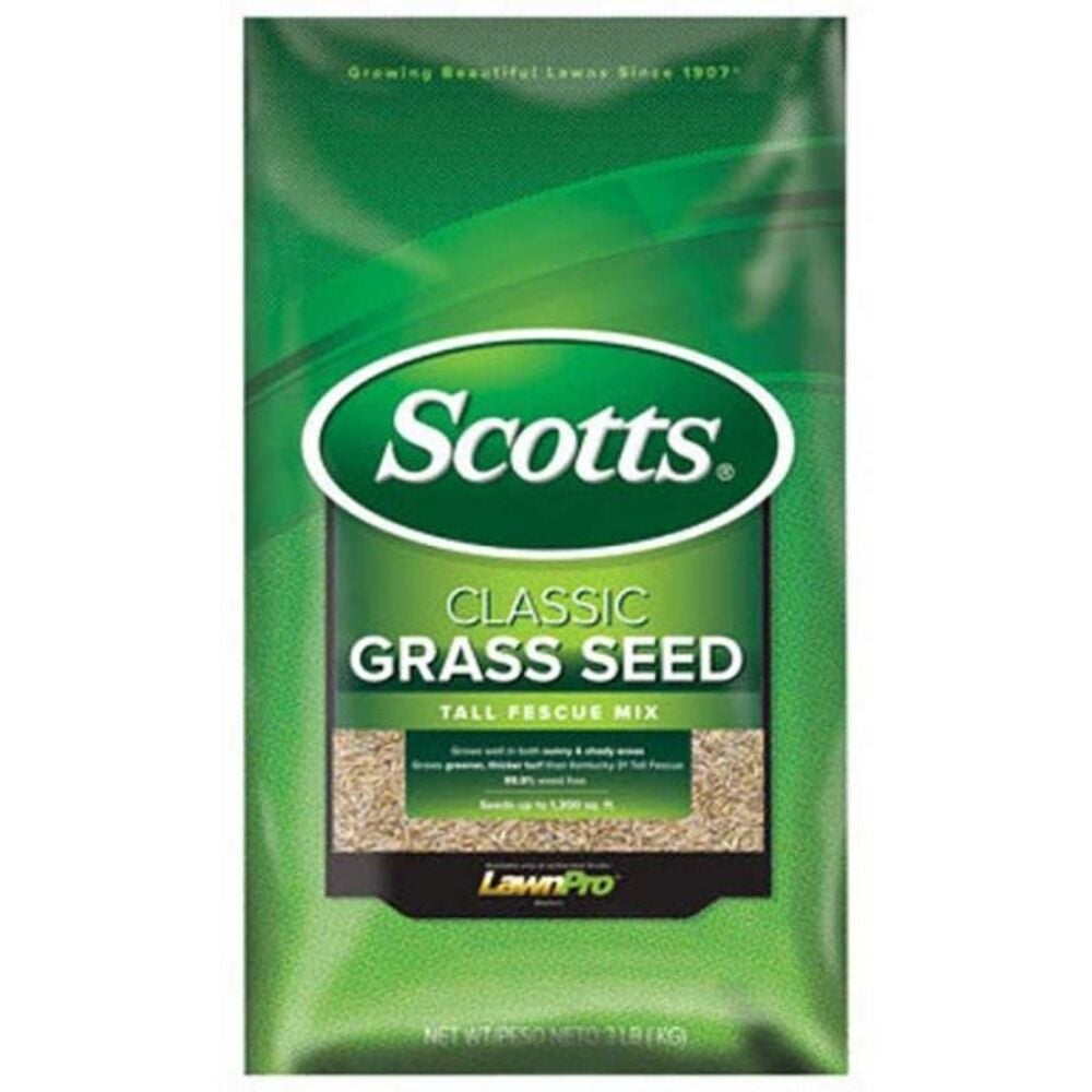 image of Tall Fescue Grass Seed, 20 lb, 8880 Sq Ft