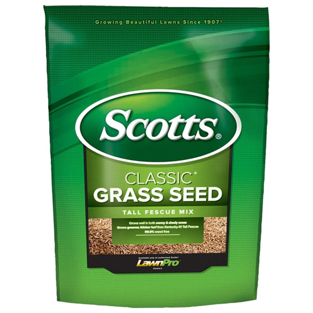 image of Classic Grass Seed Tall Fescue Mix, 20 lb