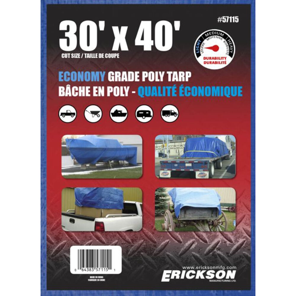 image of Blue Economy Poly Tarp, 30 ft x 40 ft