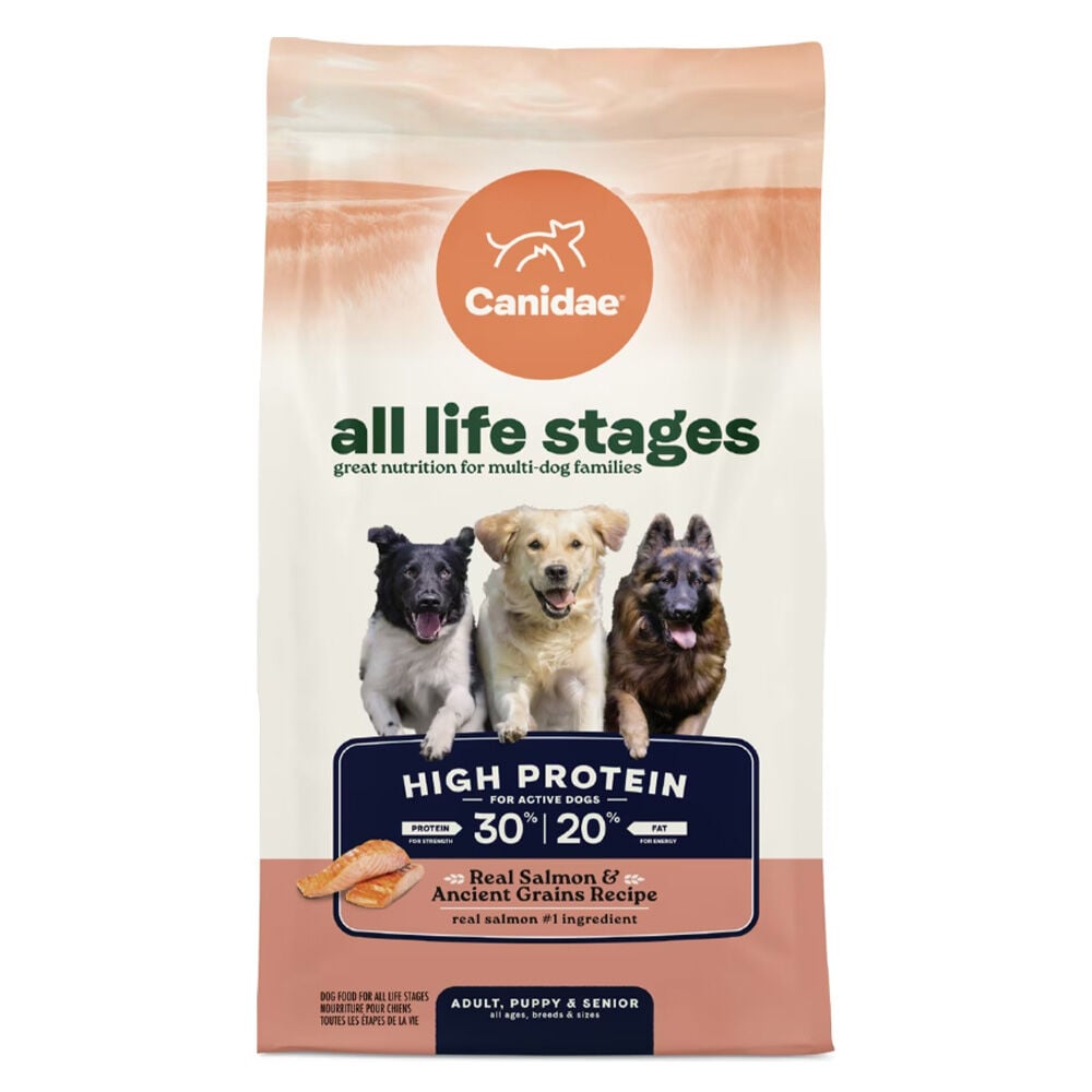 image of Dry Dog Food, All Life Stages, Salmon Recipe High Protein, 27 lb