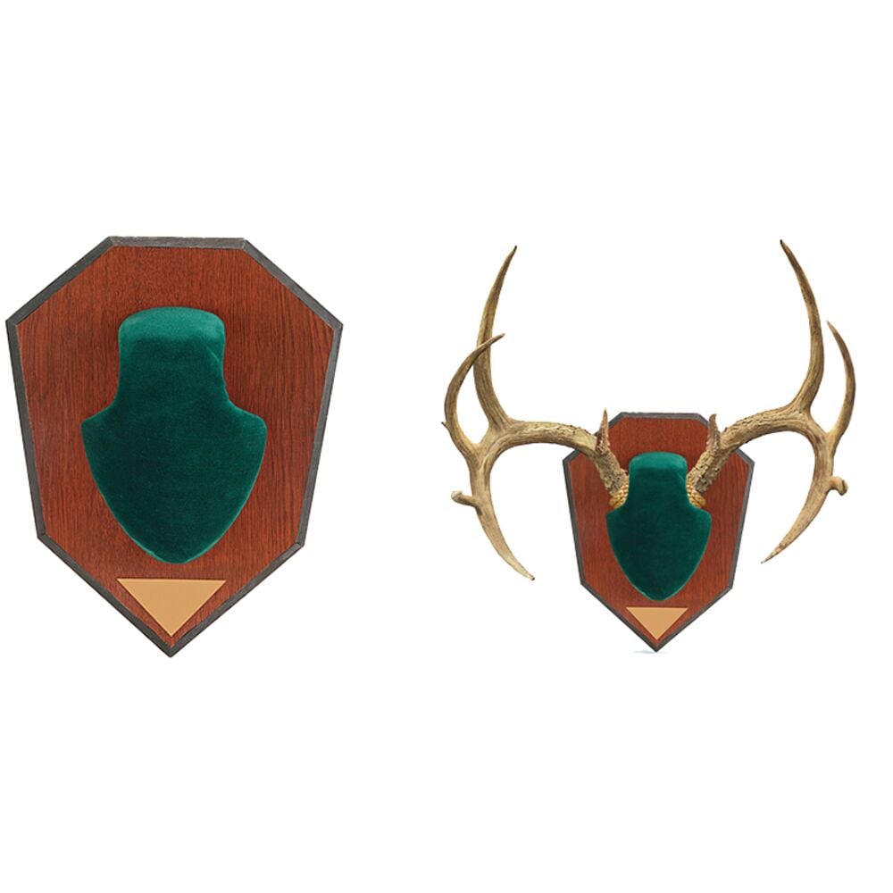 image of Antler Mounting Kit, Green