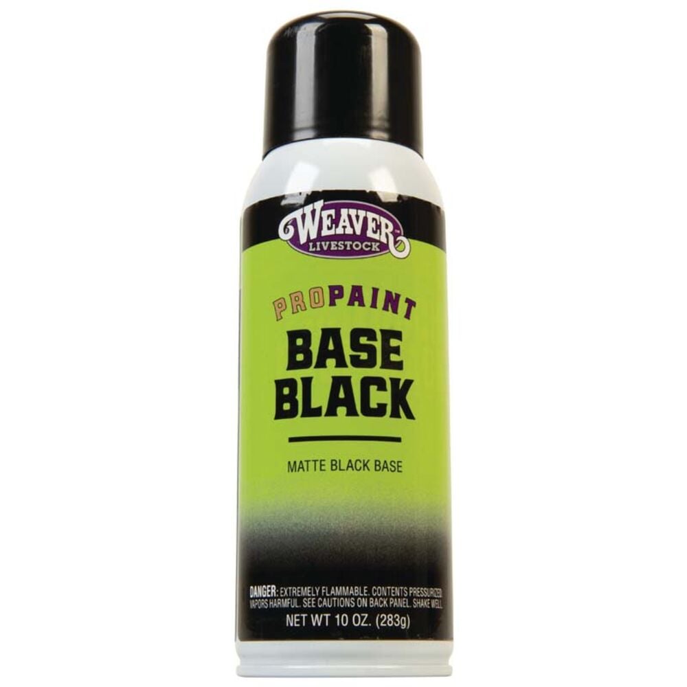 image of ProPaint Base Black, 10 oz