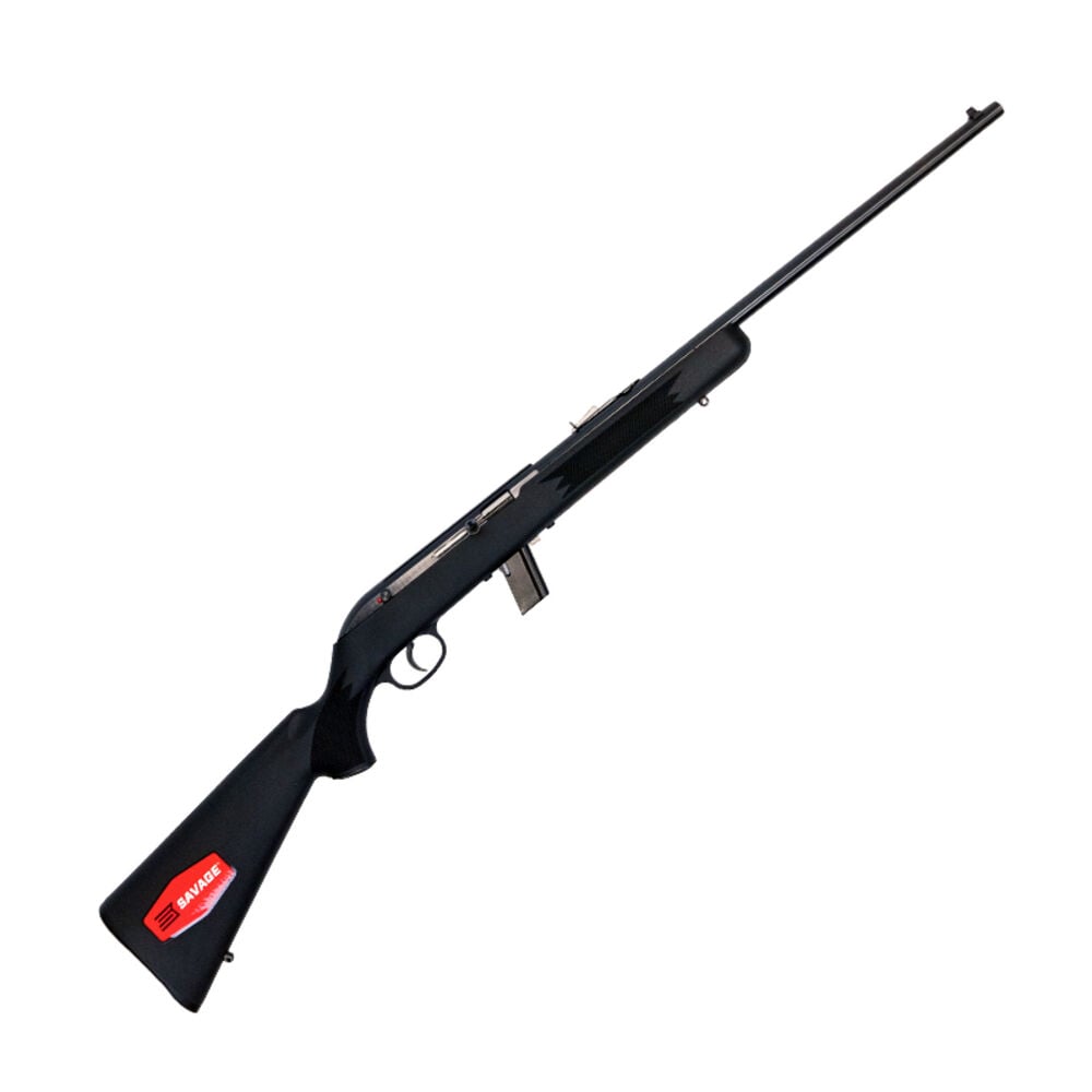image of 64 .22LR Semi-Auto Rifle