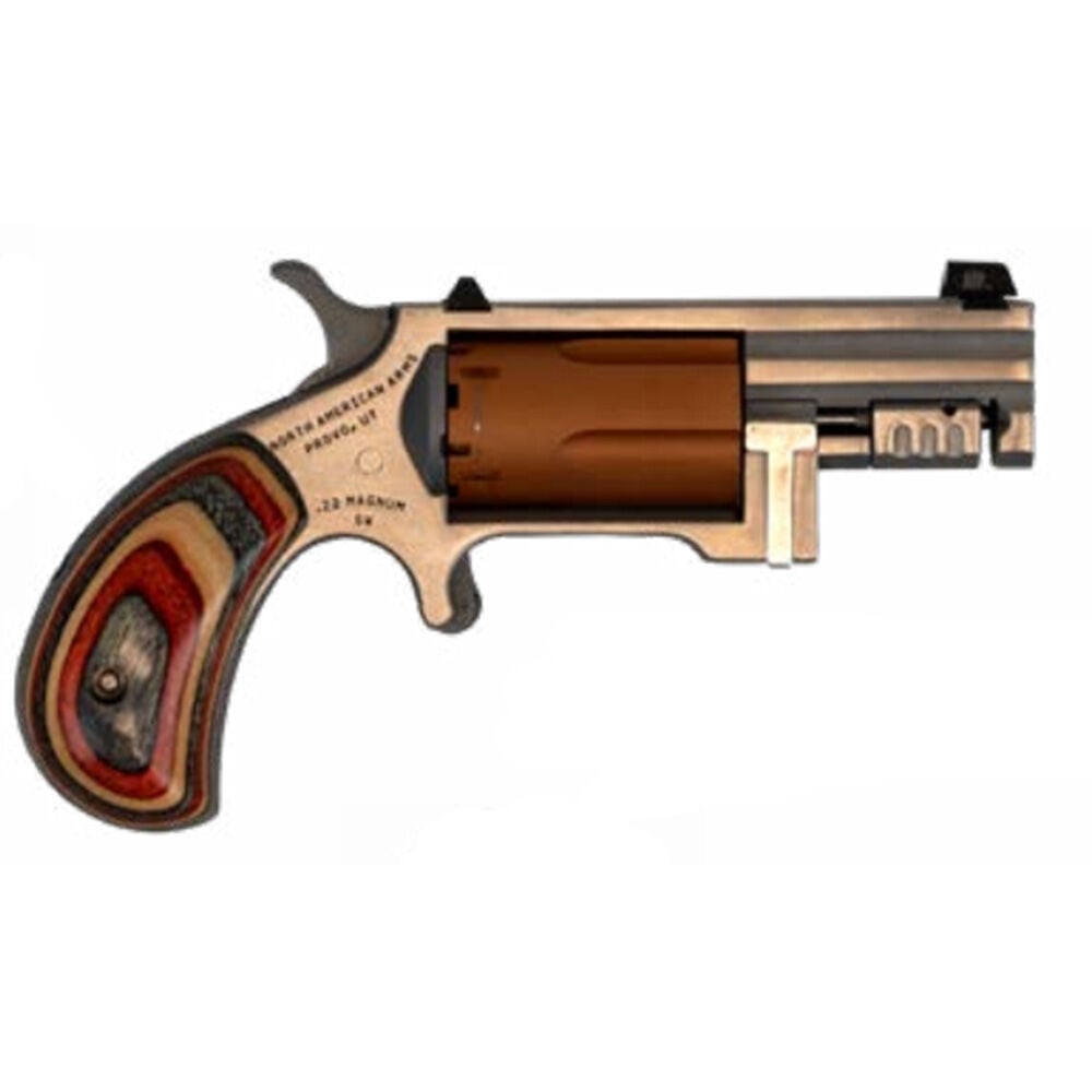 image of 22 Mag Mini Revolver