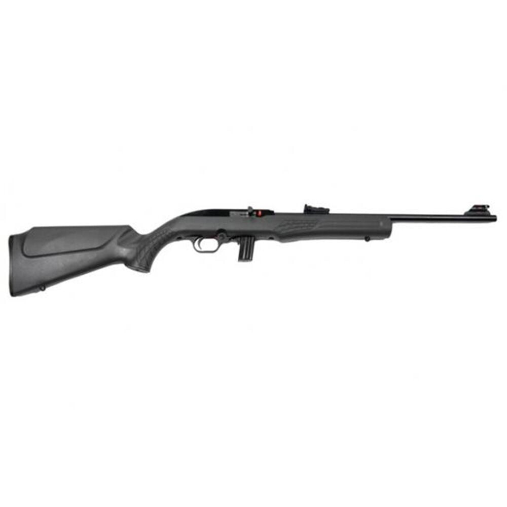image of RS22 22 LR Semi-Auto Rifle