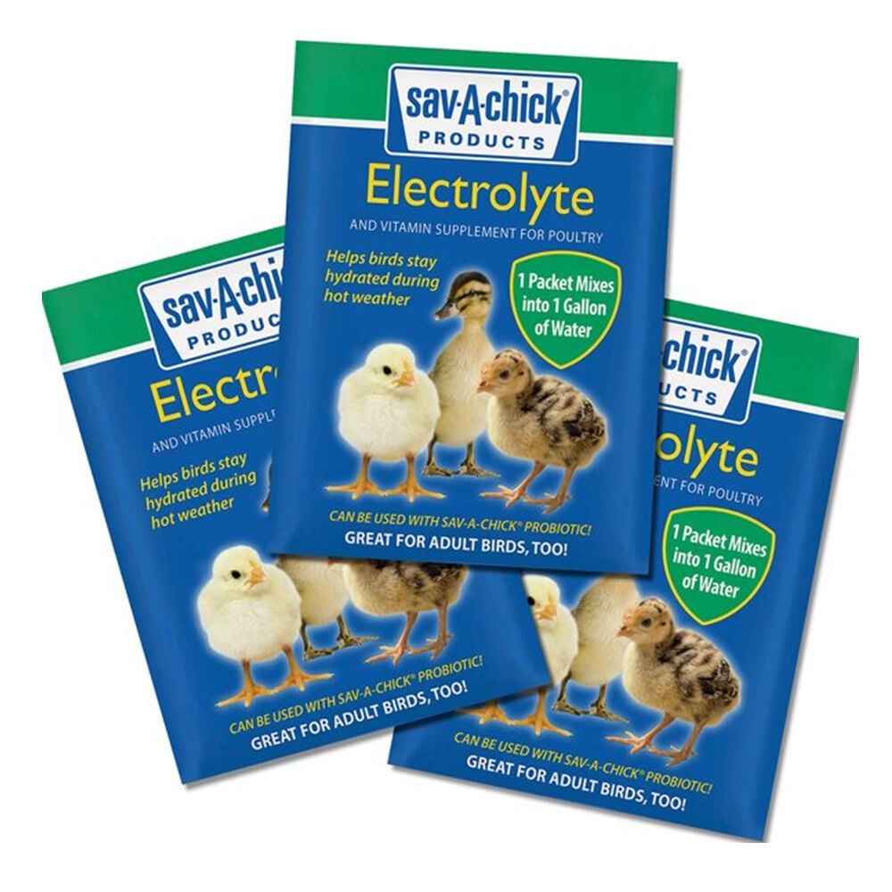 image of Poultry Supplement- Vitamin and Electrolytes, 3 pk