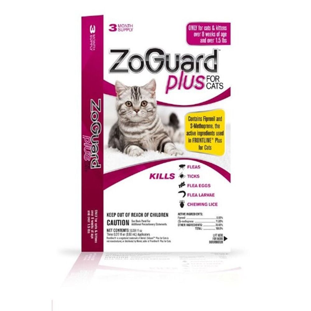 image of Cats