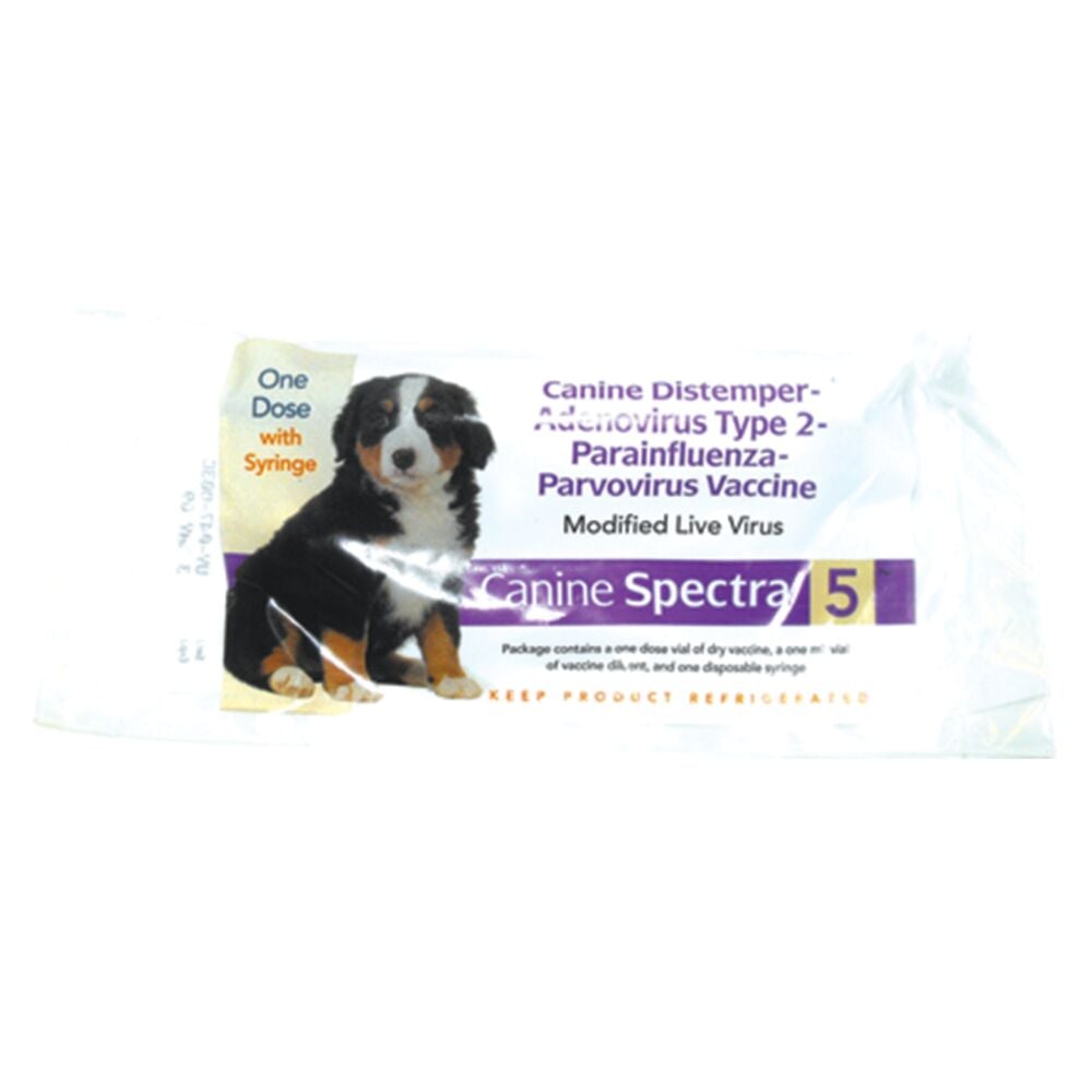 image of Canine Spectra 5 Vaccine with Syringe