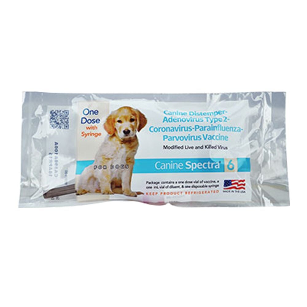 image of Canine Spectra 6 Vaccine with Syringe