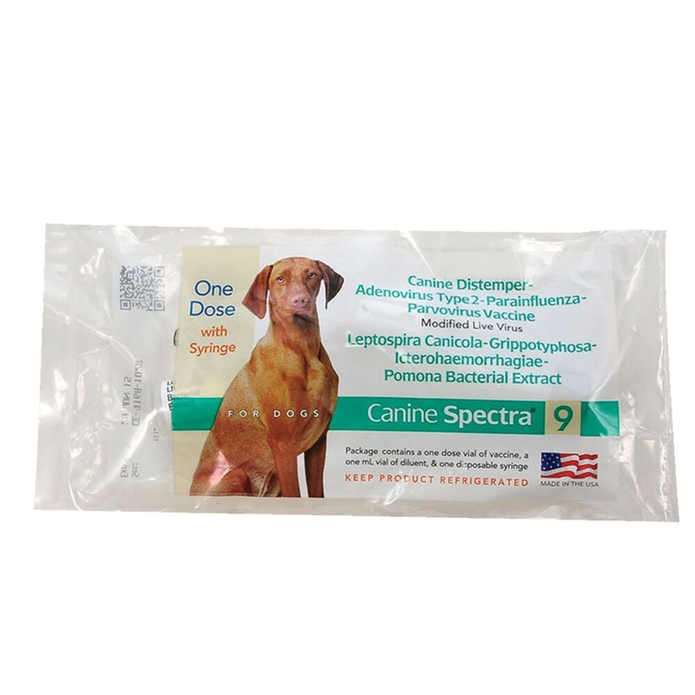 image of Canine Spectra 9 Vaccine with Syringe