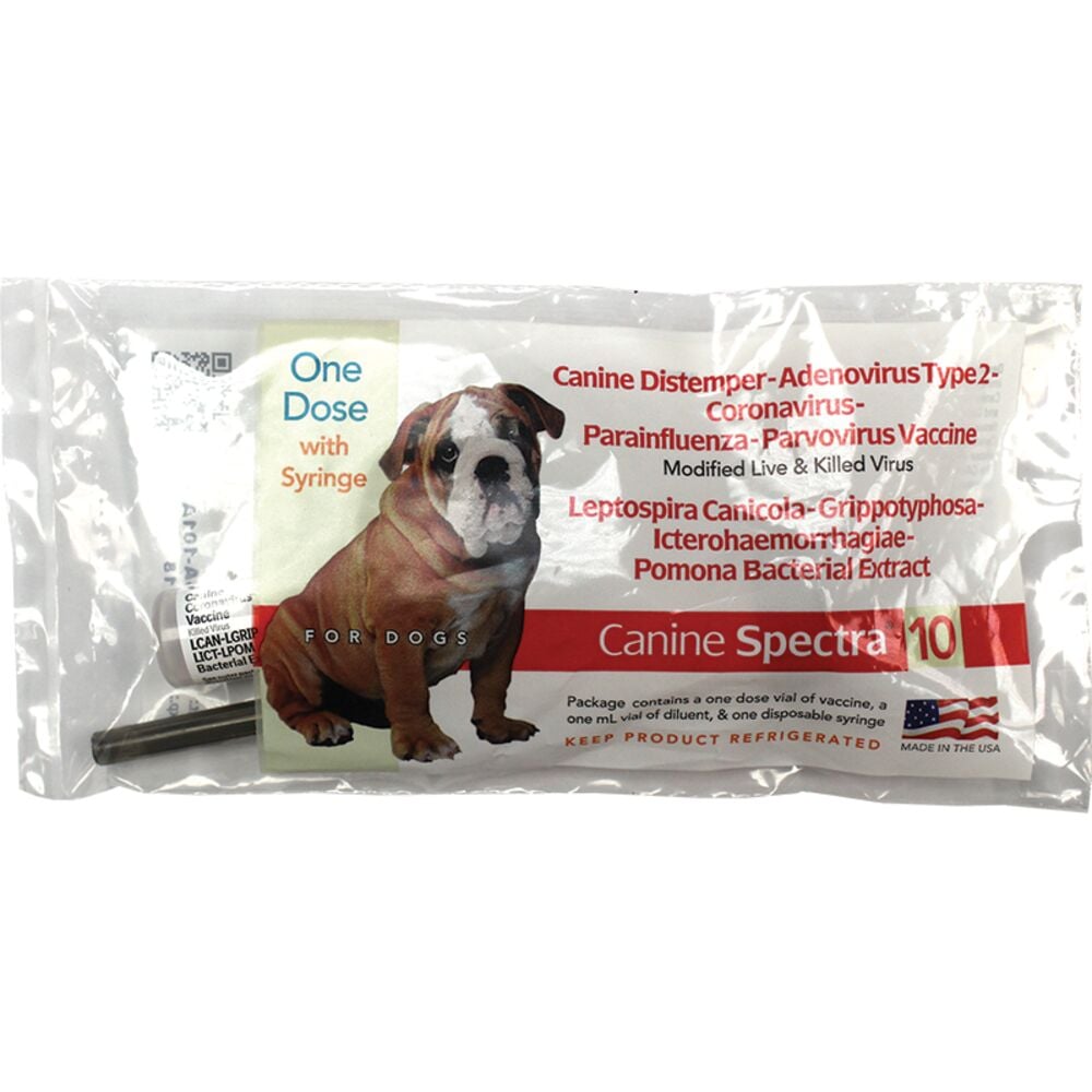 image of Canine Spectra 10 Vaccine with Syringe