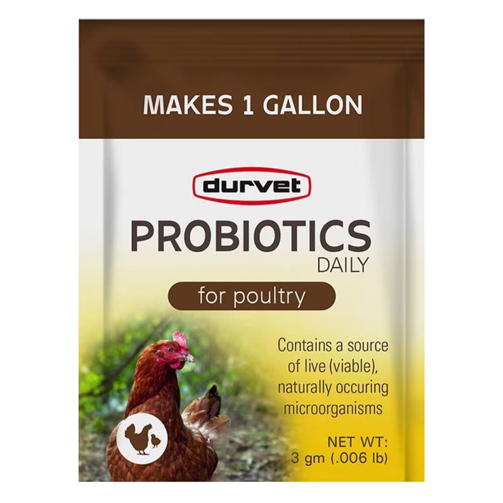 image of Poultry Supplement- Daily Probiotics, Single Serve