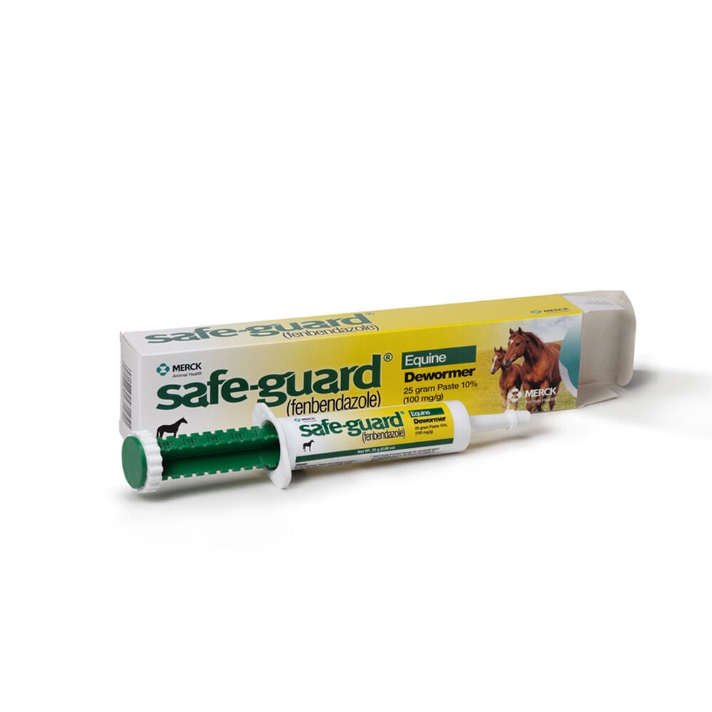 image of Equine Dewormer Paste, 25gm