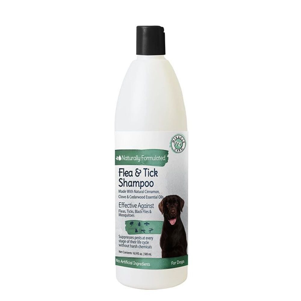 image of Dog Flea and Tick Shampoo, 16.9 oz