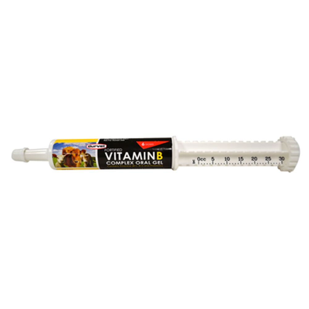 image of Vitamin B Complex Oral Gel, 30 ML