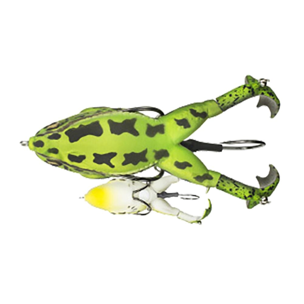 image of Prop Frog, Green Tea