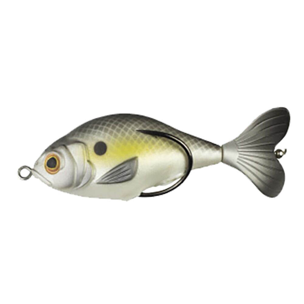 image of Prop Fish, Shad, Gizzard