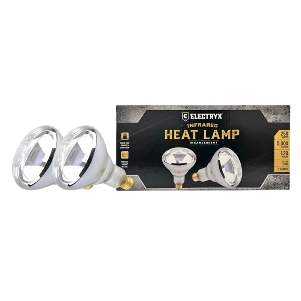 image of 250W Clear Heat Lamp Bulb- 2 pk