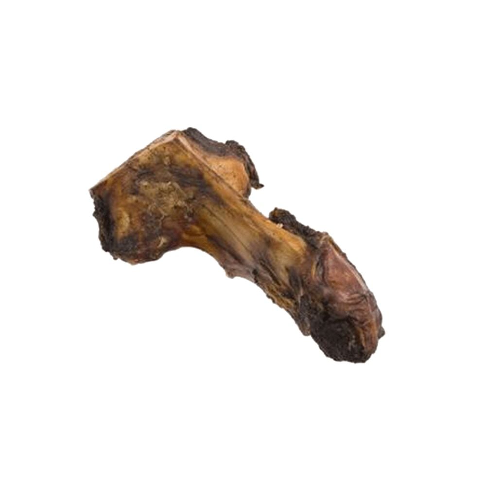 image of L Bone