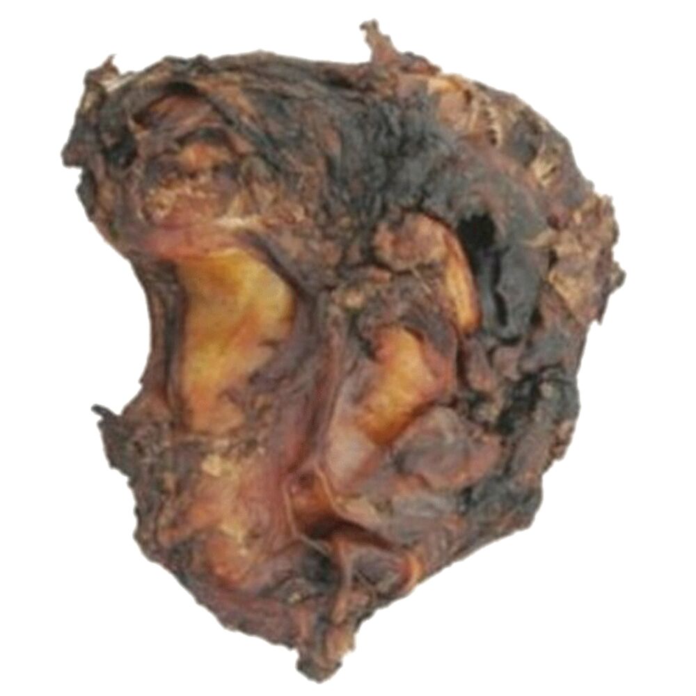 image of Top Crest Bone