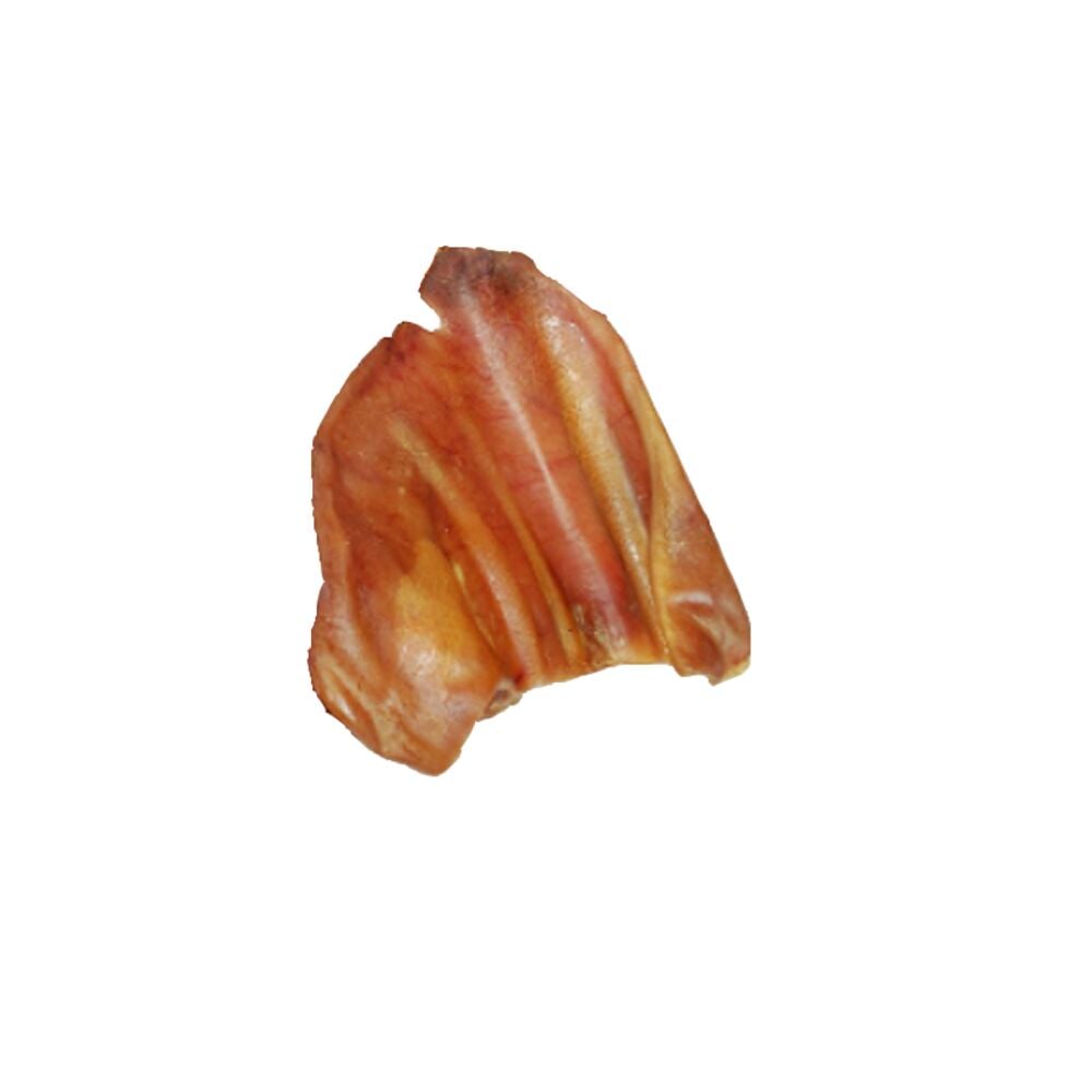 image of Single Pig Ear