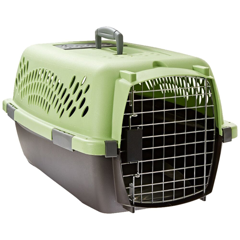 Petmate pet taxi medium cheap