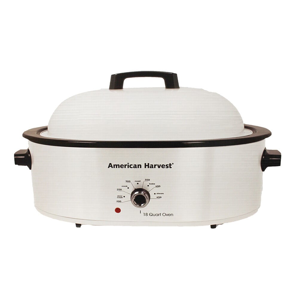 image of Stainless Steel Roaster, 18 qt