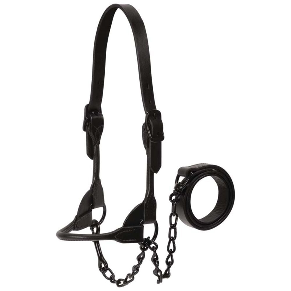 image of Black Magic Show Halter, Medium