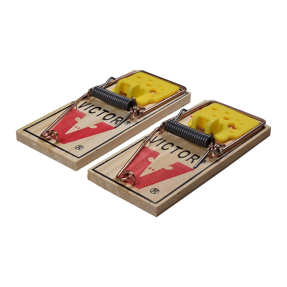 image of Easy Set Baited Mouse Trap, 2 pack