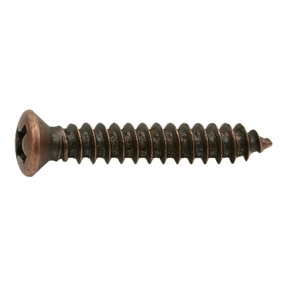 image of 8 X 1 Phillips Oval Screw, Bronze