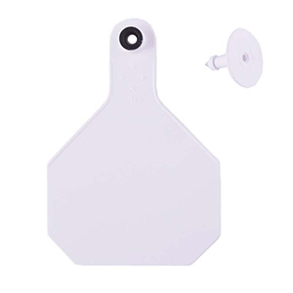 image of Blank 2 Piece Tag, Large, White, 25 count