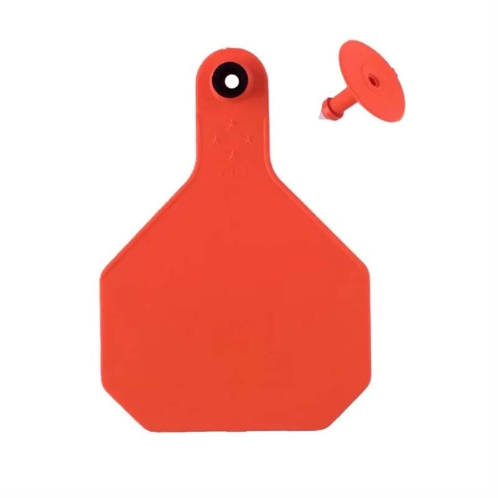 image of Blank 2 Piece Tag, Large, Orange, 25 count