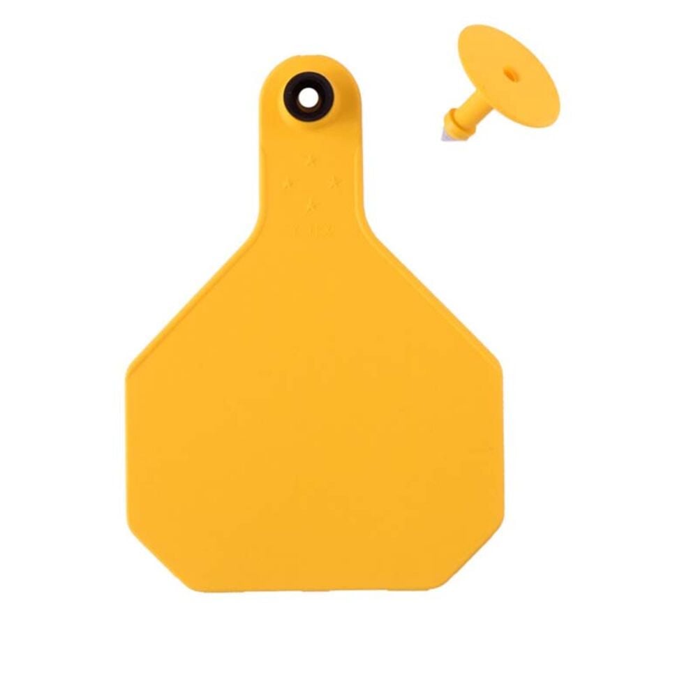 image of Blank 2 Piece Tag, Large, Yellow, 25 count
