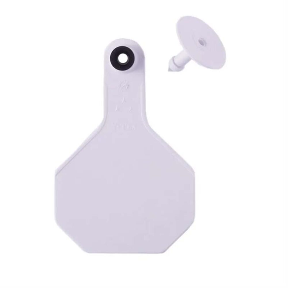 image of Blank 2 Piece Tag, Medium,White, 25 count