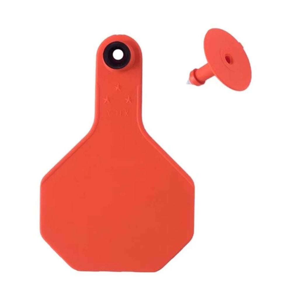 image of Blank 2 Piece Tag, Medium,Orange, 25 count