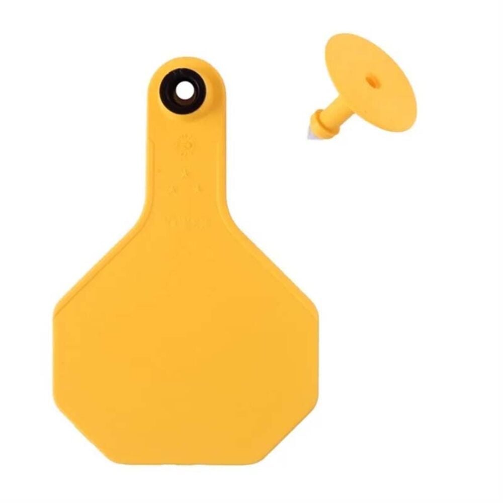 image of Blank 2 Piece Tag, Medium,Yellow, 25 count