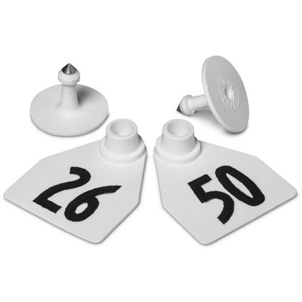 image of Numbered 2 Piece Tag, Medium,White, 25 count, 26 thru 50