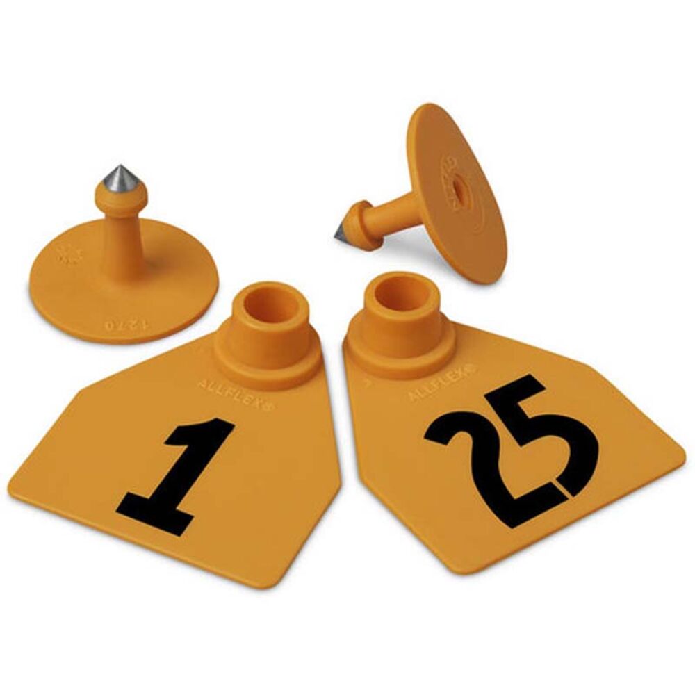 image of Numbered 2 Piece Tag, Medium,Orange, 25 count, 1 thru 25
