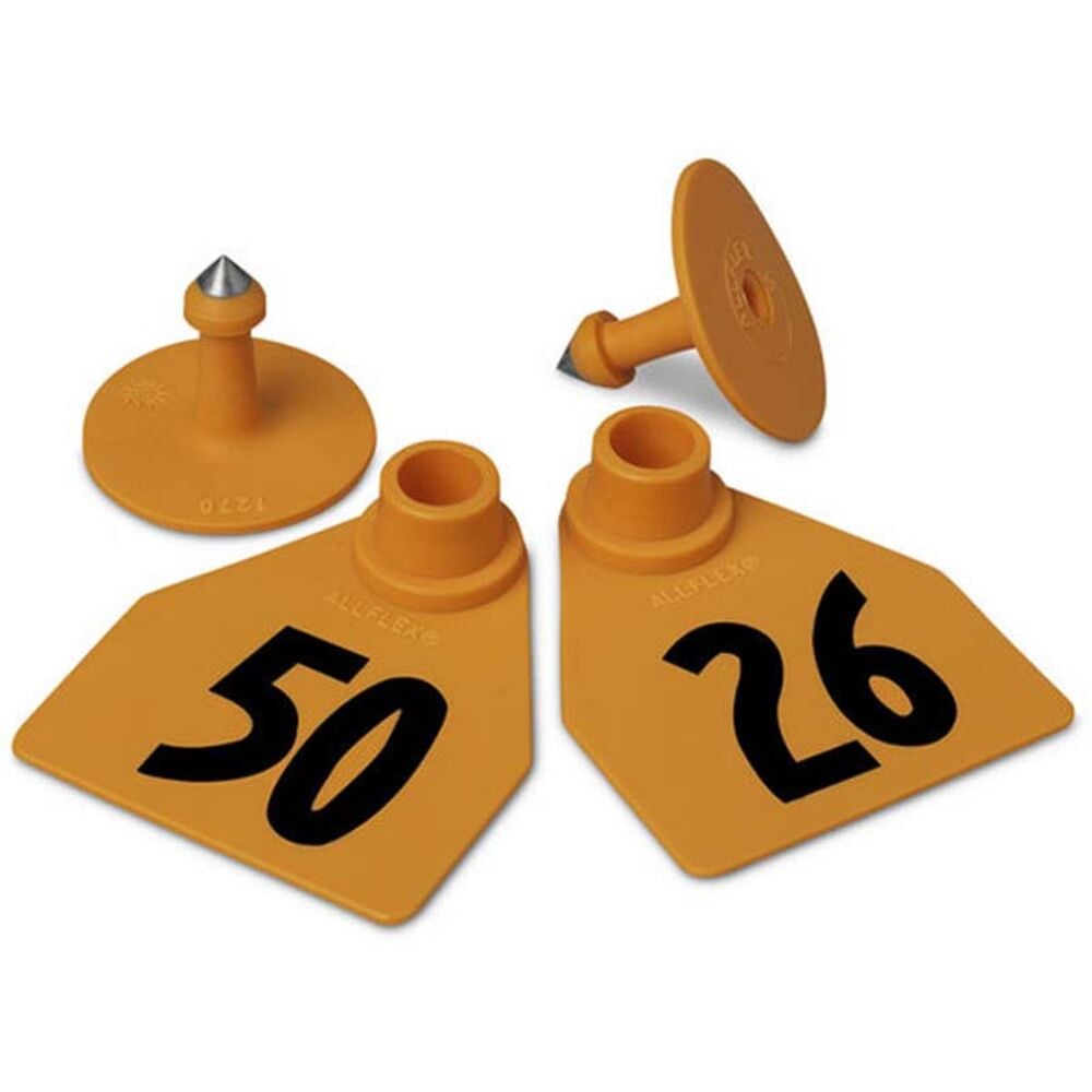 image of Numbered 2 Piece Tag, Medium,Orange, 25 count, 26 thru 50