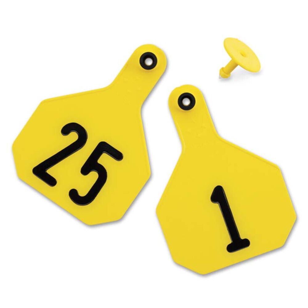 image of Numbered 2 Piece Tag, Medium,Yellow, 25 count, 1 thru 25