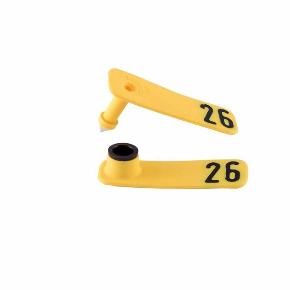 image of Yellow Sheepstar Combo Tag, 26-50