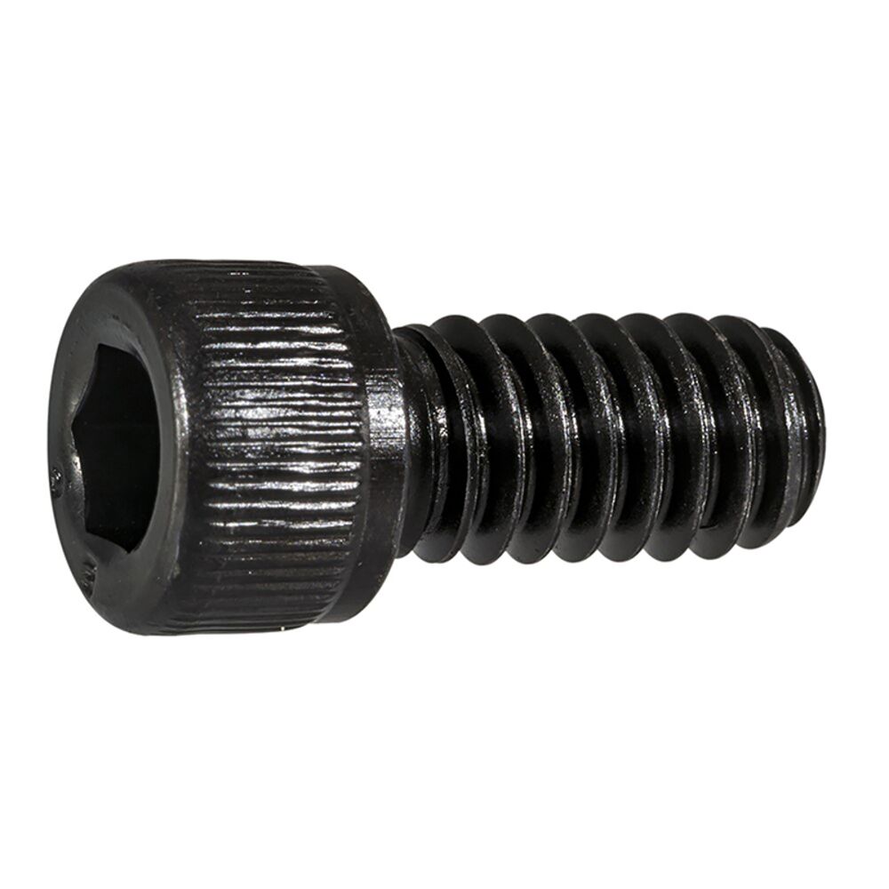 image of 1/4-20 x 1/2 Socket Cap Screws - 85031