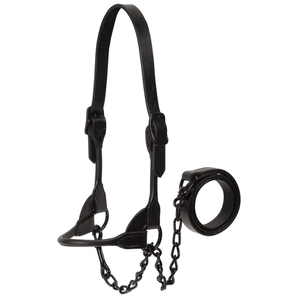 image of Black Magic Show Halter